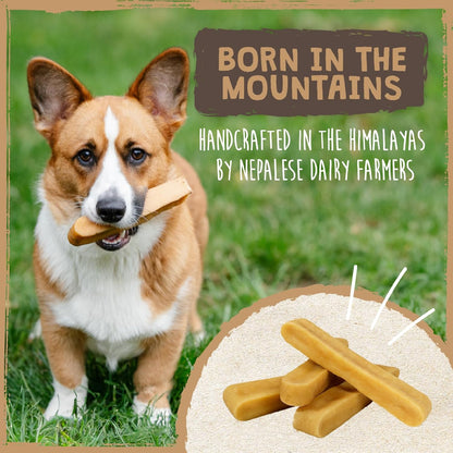 Mighty Paw Yak Chews, Long Lasting Hard Chew for Large Dogs, 4 Pack | Milk, Salt & Lime Juice, Grain-Free, Lactose-Free, Odor-Free, 68G Protein per Stick, Aggressive Chewers, Puppy Teething7