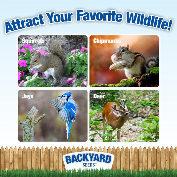 Countrymax Backyard Seeds Squirrel and Friends Wildlife Feed – 20 Lb Non-Gmo Mix for Squirrels, Deer, Birds, Rabbits, Chipmunks & More – All-Natural Backyard Animal Food3