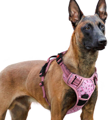 Rabbitgoo Dog Harness Medium Sized, Updated Easy on & off with 3 Buckles | No Pull No Choke, Walking with 2 Clips and Handle, Adjustable Soft Reflective, Blue, Medium43