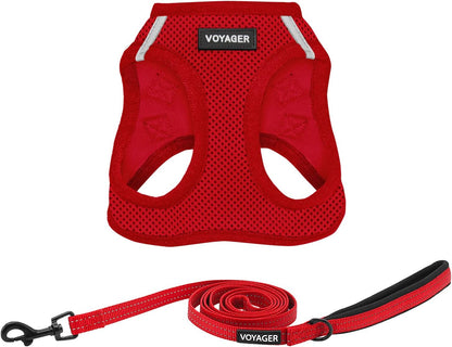 Best Pet Supplies Voyager Step-In Air All Weather Mesh Harness and Reflective Dog 5Ft Leash Combo with Neoprene Handle, for Small, Medium and Large Breed Puppies - Baby Blue, Small18