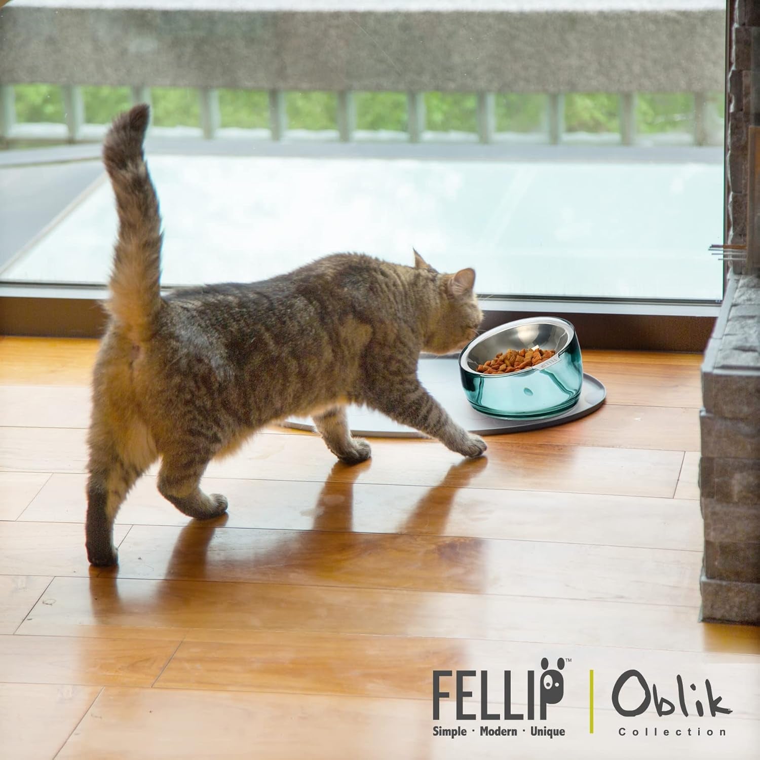 felli-oblik-elevated-cat-bowl-removable-stainless-steel-wide-dish-for-dry-wet-food-feeding-dishwasher-clean-slanted-whisker-fatigue-friendly-metal-plate-classic-0-5-cups-shallow-dish