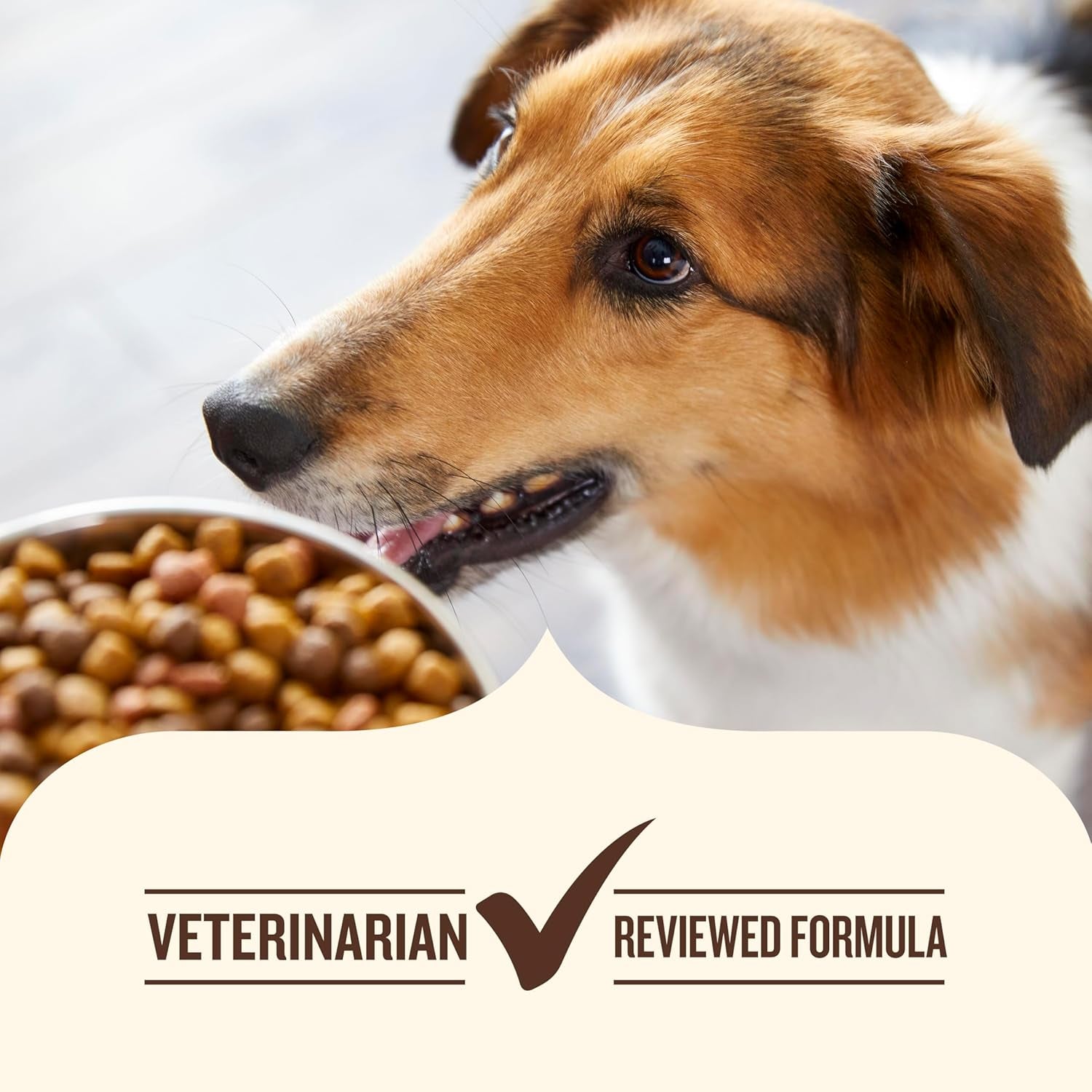 nutrish-grain-free-dry-dog-food-salmon-sweet-potato-recipe-23-lb-bag-rachael-ray