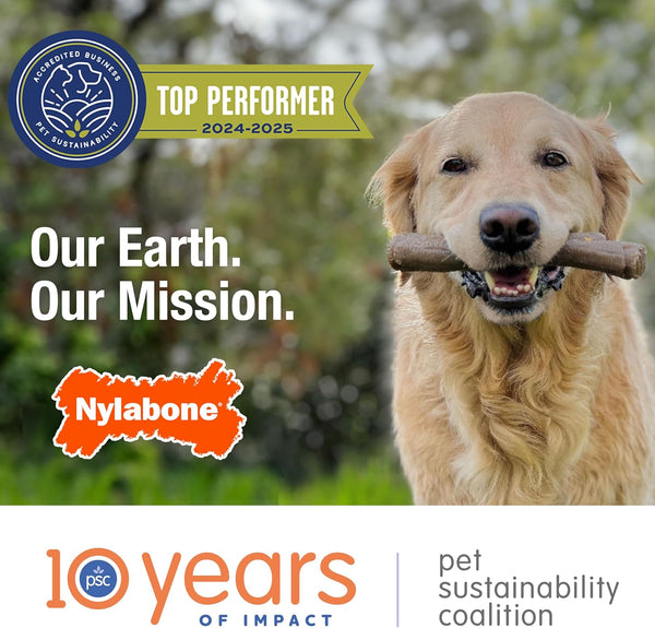 Nylabone Strong Chew Stick Made with Real Wood Dog Chew Toy, Medium | Bacon Flavor, Medium Breeds, No Splintering, Durable Chew Toys, Long Lasting, Helps Clean Teeth, Medium Breeds up to 35 Lbs11