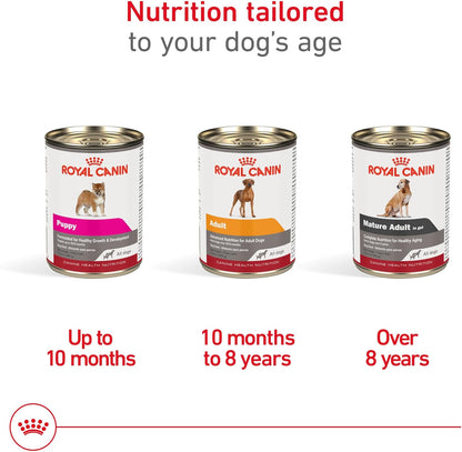 ROYAL CANIN Canine Health Nutrition Mature Mature in Gel Dog Food, 13.5 Oz (Pack of 12)4