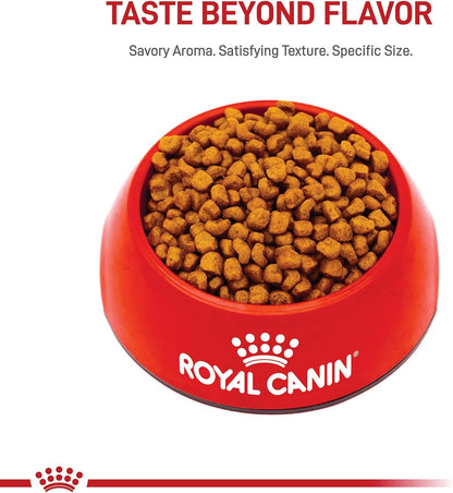 ROYAL CANIN Breed Health Nutrition Shih Tzu Puppy Dry Dog Food, 2.5 Lb Bag. | Tailored Nutrition for Shih Tzu Puppies, Small Kibble Size for Easy Chewing, Supports Healthy Skin and Coat8
