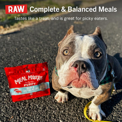 Stella & Chewy'S Freeze Dried Raw Meal Mixers – Crafted for Puppies – Grain Free, Protein Rich Perfectly Puppy Beef & Salmon Recipe – 3.5 Oz Bag11