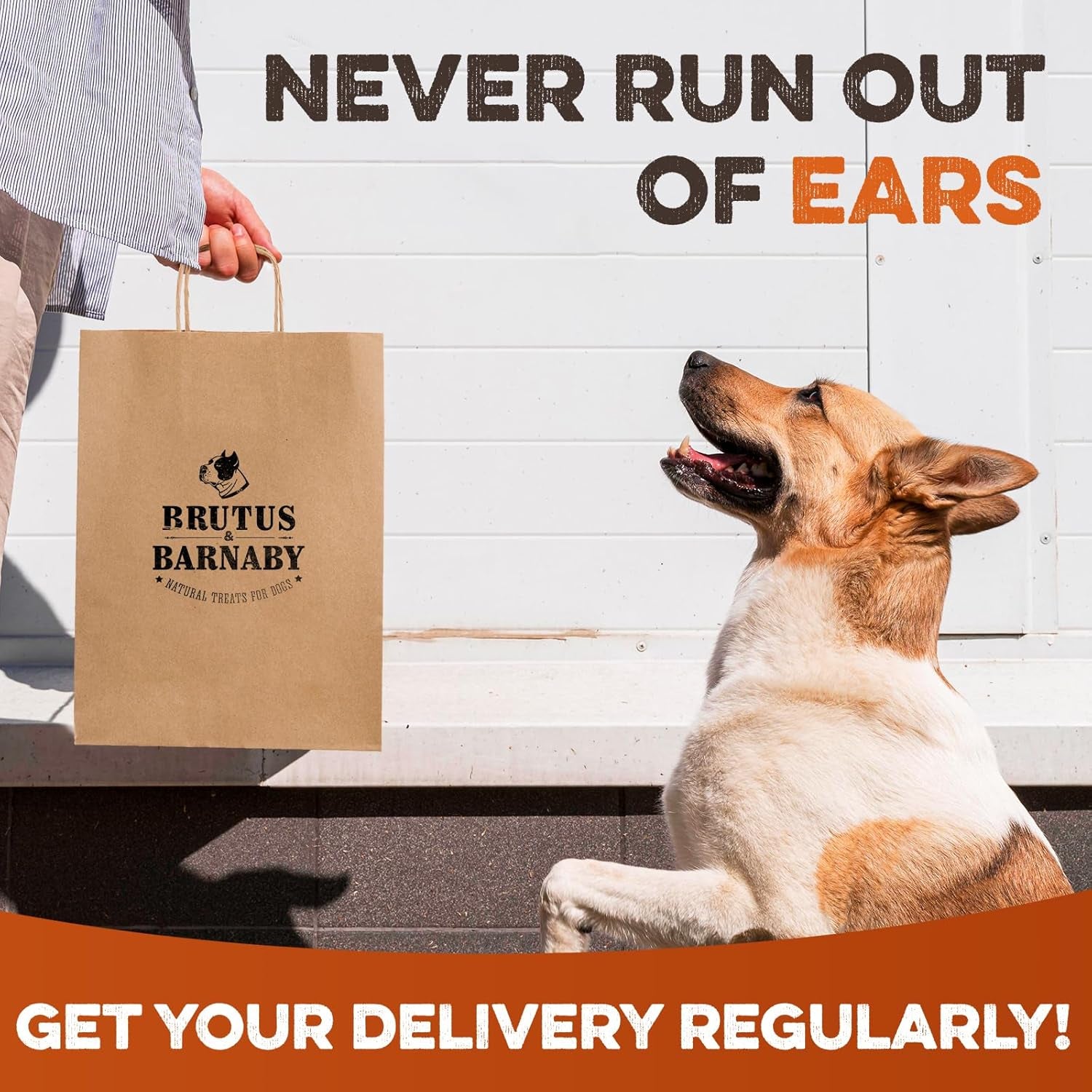 brutus-barnaby-cow-ears-for-dogs-whole-ears-12-ct-thick-cut-grass-fed-angus-beef-all-natural-no-rawhide-dog-treat-alternative