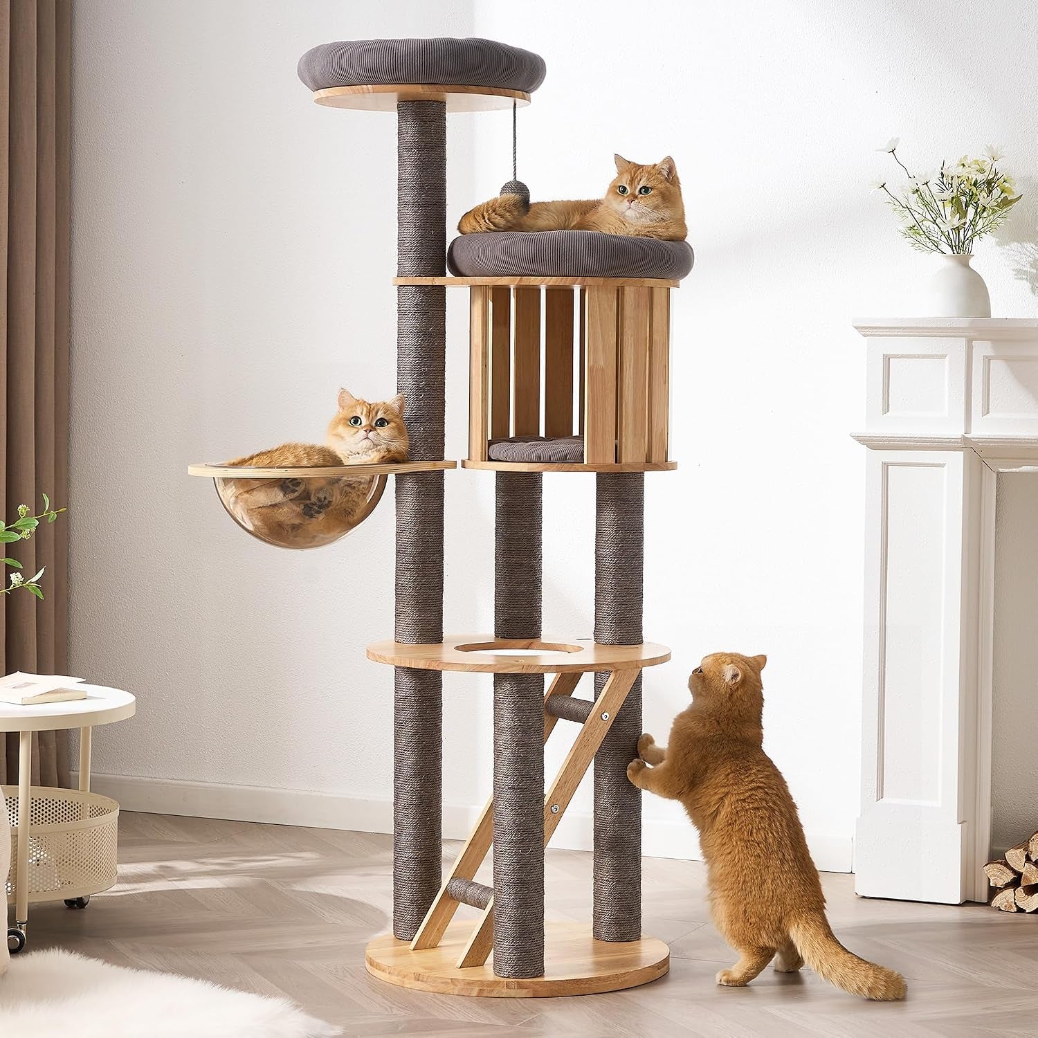 50-modern-cat-tree-for-indoor-cats-small-to-medium-solid-wood-cat-tower-with-sisal-scratching-posts-cat-scratcher-cardboard-cozy-cat-beds-hidden-cat-condo-multi-level-cat-furniture