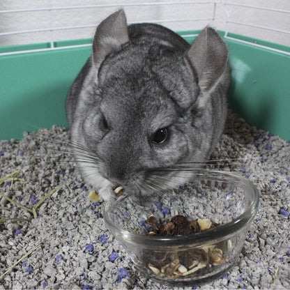 Vitakraft Cocktail Mixed Fruit Chinchilla Treat, 4.5 Oz9