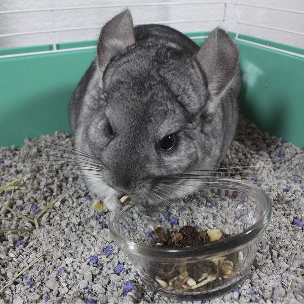 Vitakraft Cocktail Mixed Fruit Chinchilla Treat, 4.5 Oz9