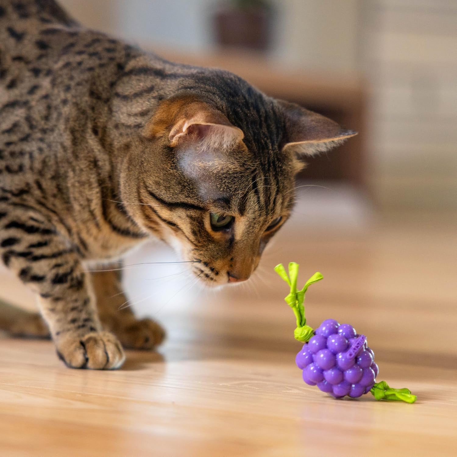 catstages-bouncing-grape-teether-cat-toy-soft-and-textured-chew-catnip-oil-coating