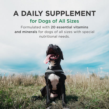 Zoetis Pet Tabs plus 180Ct,Brown,10000276 | 20 Essential Minerals & Vitamins, Restorative Formula for Aging & Working Dogs, Stress Recovery, Supports Nutritional Gaps3