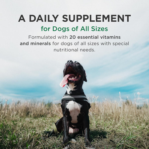 Zoetis Pet Tabs plus 180Ct,Brown,10000276 | 20 Essential Minerals & Vitamins, Restorative Formula for Aging & Working Dogs, Stress Recovery, Supports Nutritional Gaps3