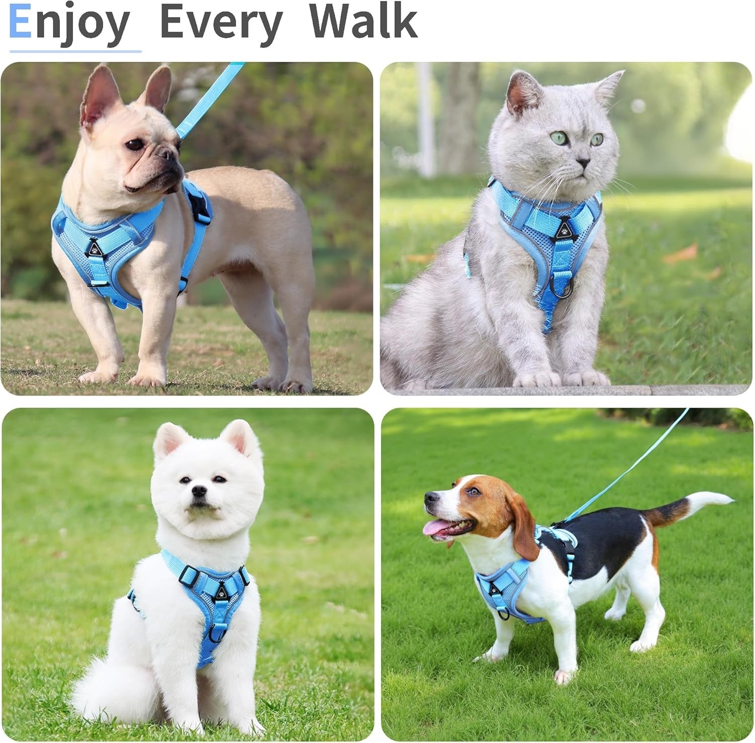 no-pull-dog-harness-with-leash-set-for-small-sized-dog-reflective-adjustable-no-choke-front-clip-cat-vest-harness-with-breathable-mesh-comfortable-soft-padded-pet-vest-blue-m