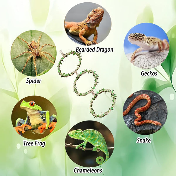 Snake Climbing Rings for Ball Python- Enclosure Accessories – Reptile Habitat Decor, Climbing Branches & Bedding for Ball Python, for Corn Snake Enhancement Ring Toys6