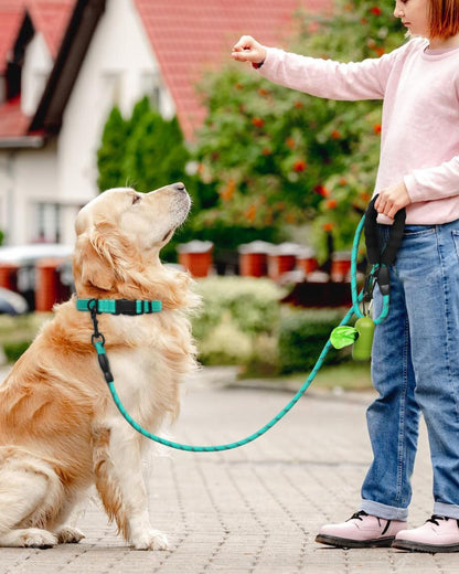 Dynmeow Reflective Dog Collar and Leash Set for Large Dogs, Teal | Soft Neoprene Padded, 6FT Climbing Rope, Ideal for Daily Outdoor Walking or Indoor Wearing, Night Visible for Safety5