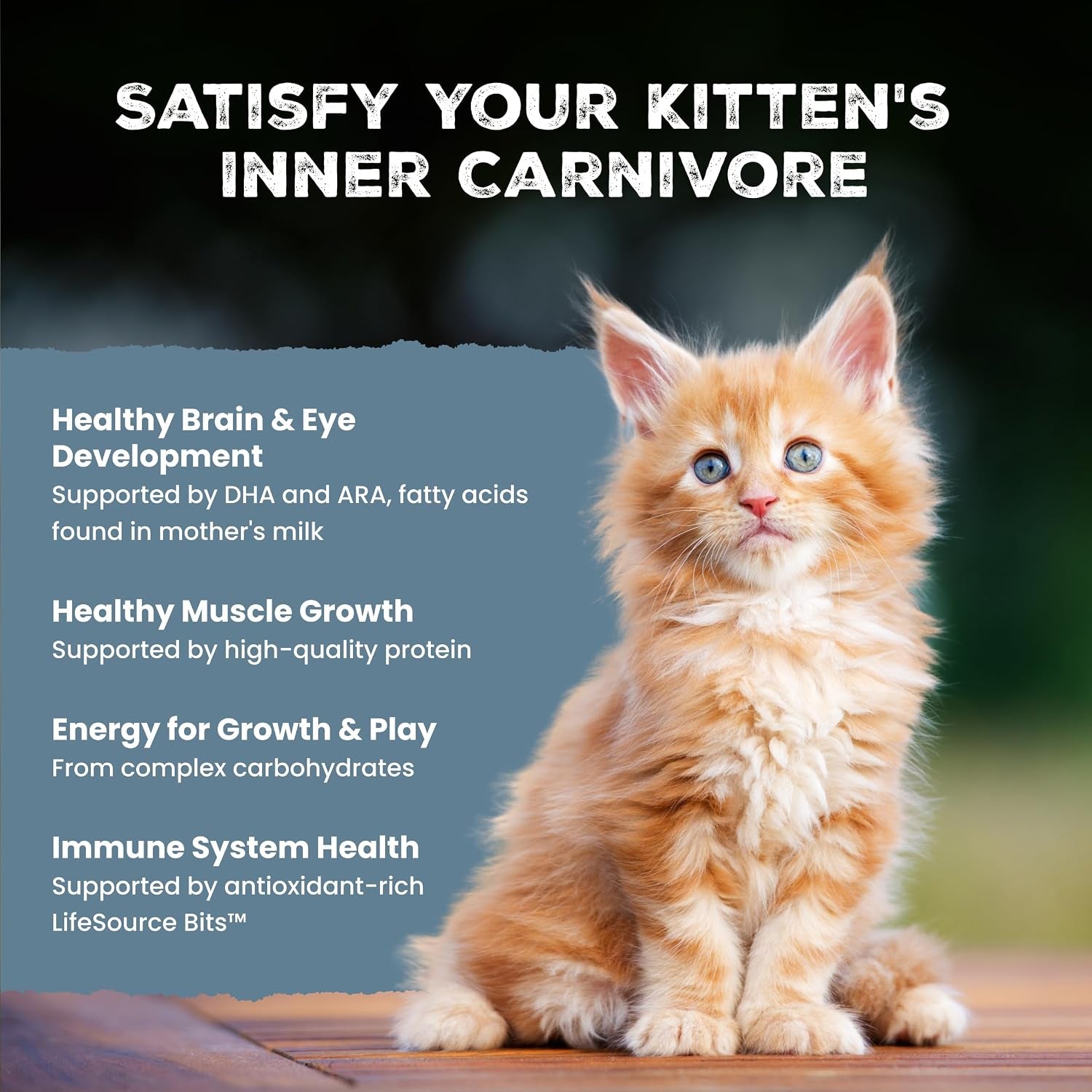 blue-buffalo-wilderness-with-chicken-natural-high-protein-grain-free-dry-cat-food-for-kittens-real-chicken-first-antioxidant-rich-lifesource-bits-support-immunity-dha-ara-for-development-5-lbs