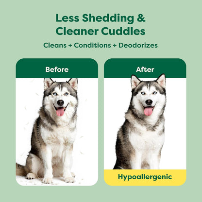 Earth Rated Deshedding Hypoallergenic Dog Shampoo & Conditioner, 16 Oz | 3-In-1, Shampoo & Conditioner for Dogs & Puppies, Deodorizing, 98.5% Natural Origin Ingredients2