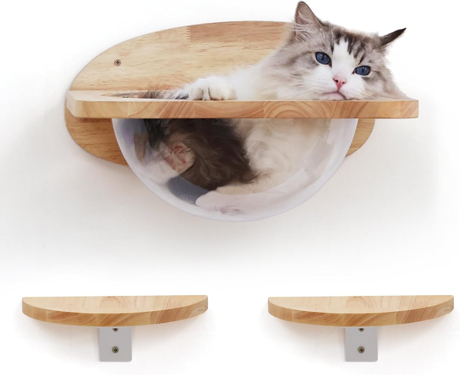 fukumaru-cat-wall-furniture-set-transparent-capsule-with-2-pcs-pedals-kitten-walls-shelves-premium-kitty-bed-for-sleeping-playing-climbing-lounging-holds-up-to-35-lbs
