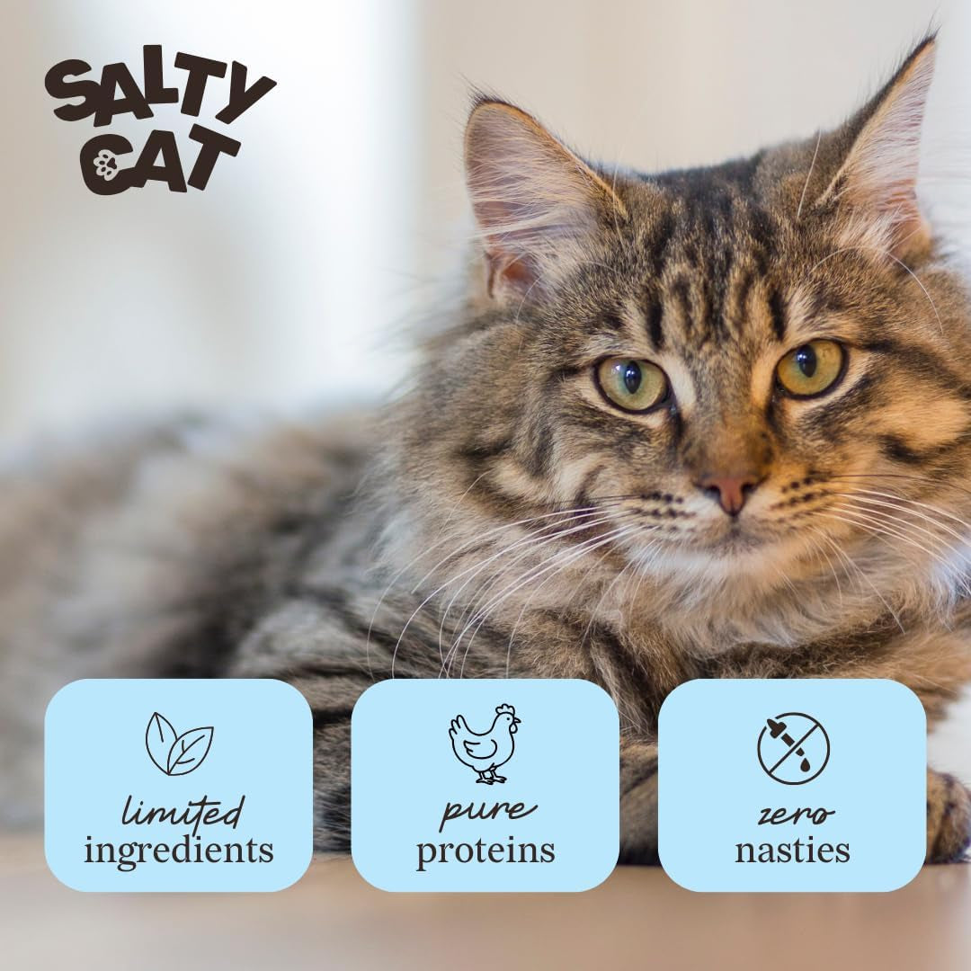 salty-cat-natural-freeze-dried-chicken-cat-treats-10g-bag-12-packs
