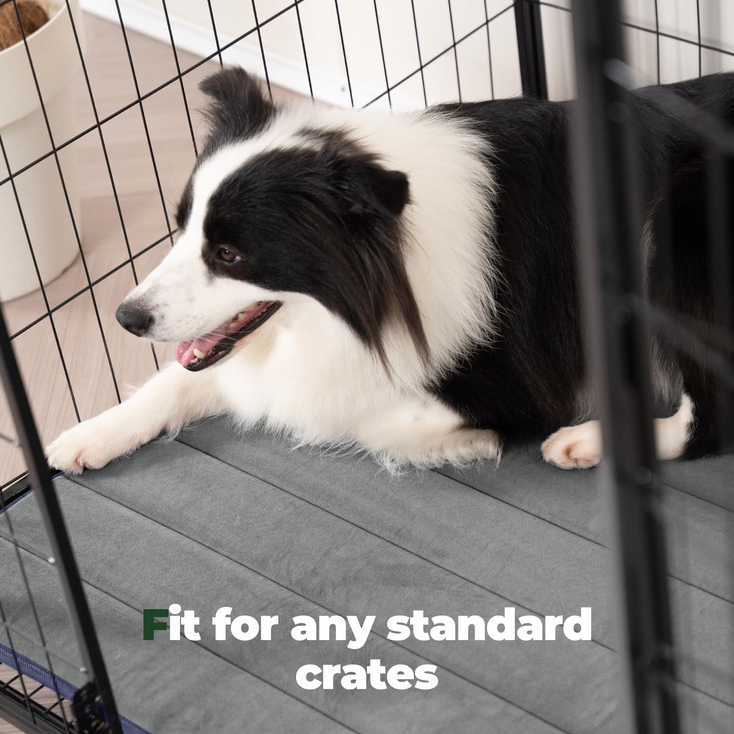 balance-dog-crate-pad-dog-foam-crate-mat-kennel-pad-washable-water-resistant-pet-bed-flat-dogs-cage-mat-for-small-dogs