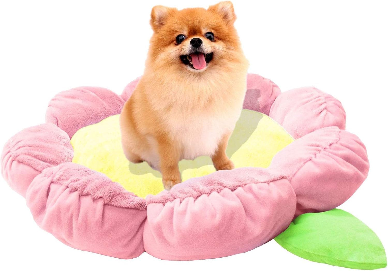 tonbo-soft-plush-small-cute-and-cozy-nature-dog-cat-bed-washer-and-dryer-friendly-sunflower