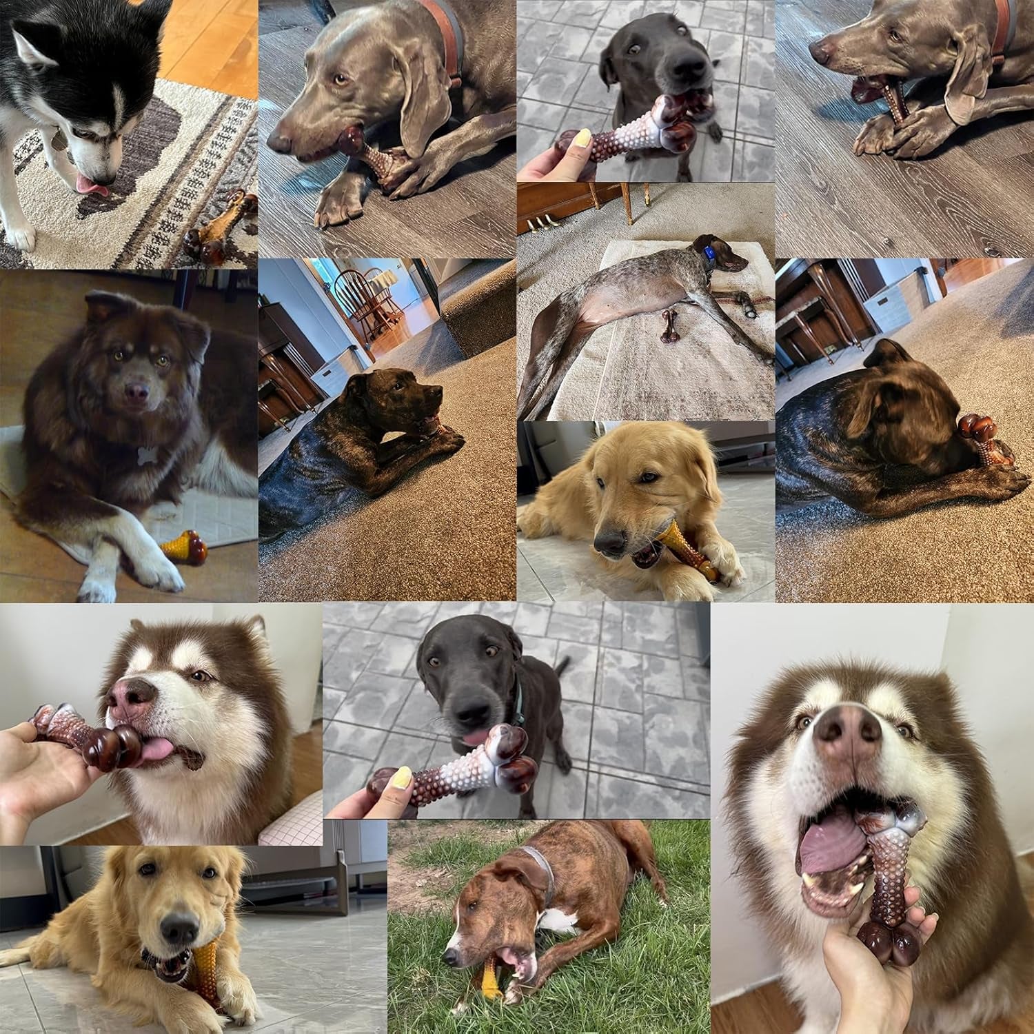 dog-chew-toys-for-aggressive-chewers-2pack-indestructible-dogs-bone-toy-for-large-small-medium-breeds-durable-tough-nylon-dog-toys-to-keep-them-busy-puppy-teething-dogs-toy-bone-beef-bacon-flavor