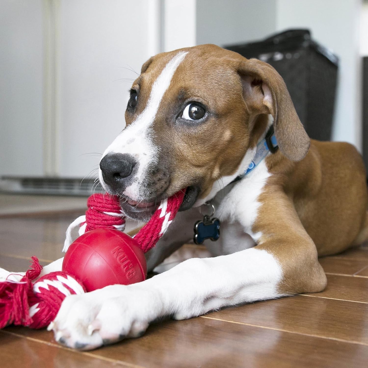 kong-ball-with-rope-durable-fetch-toy-with-rope-for-easy-throwing-for-tug-playtime-more-natural-rubber-red-for-small-dogs