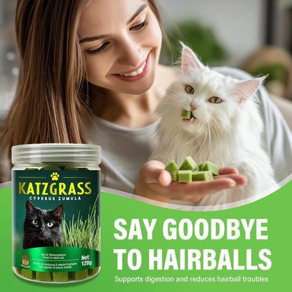 Cat Grass Treats for Indoor Cats, Crunchy Wheatgrass Snacks for Cats, 120G | Ready-To-Eat Wheatgrass Treats,Supports Natural Digestive Health & Hairball Passage,Grain-Free & Crunchy for Dental Care2