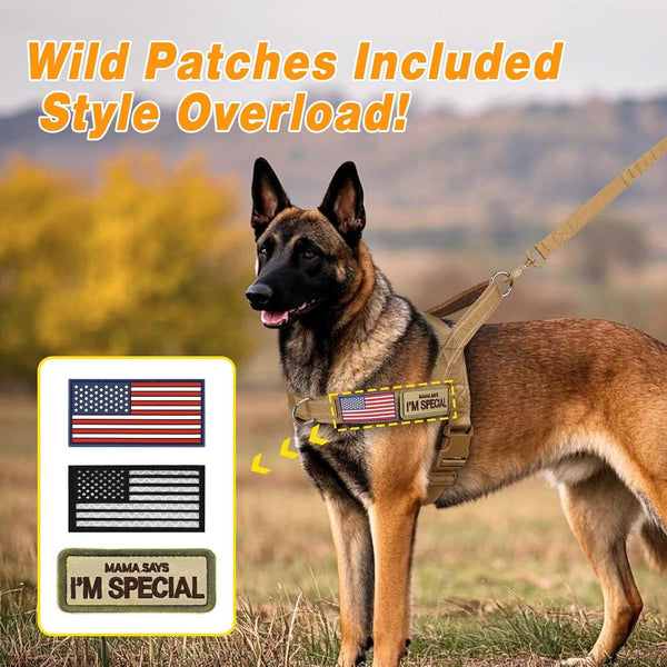 Forestpaw No Pull Dog Harness with Large Handle,Comfortable,L,Brown | Adjustable Fits Chest 26-31",50-80 Lbs,Slip On,Quick Release,Easy Control,Soft Padded,For Medium Large Dogs Walking Training5