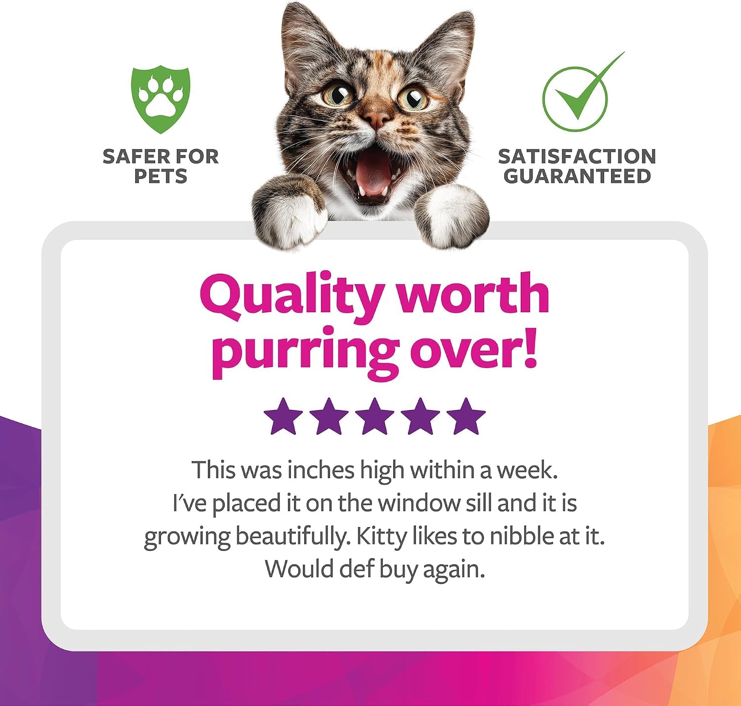smartykat-sweet-greens-organic-oat-grass-all-in-one-cat-grass-grow-kit-easy-to-grow-to-support-digestion-hairball-reduction