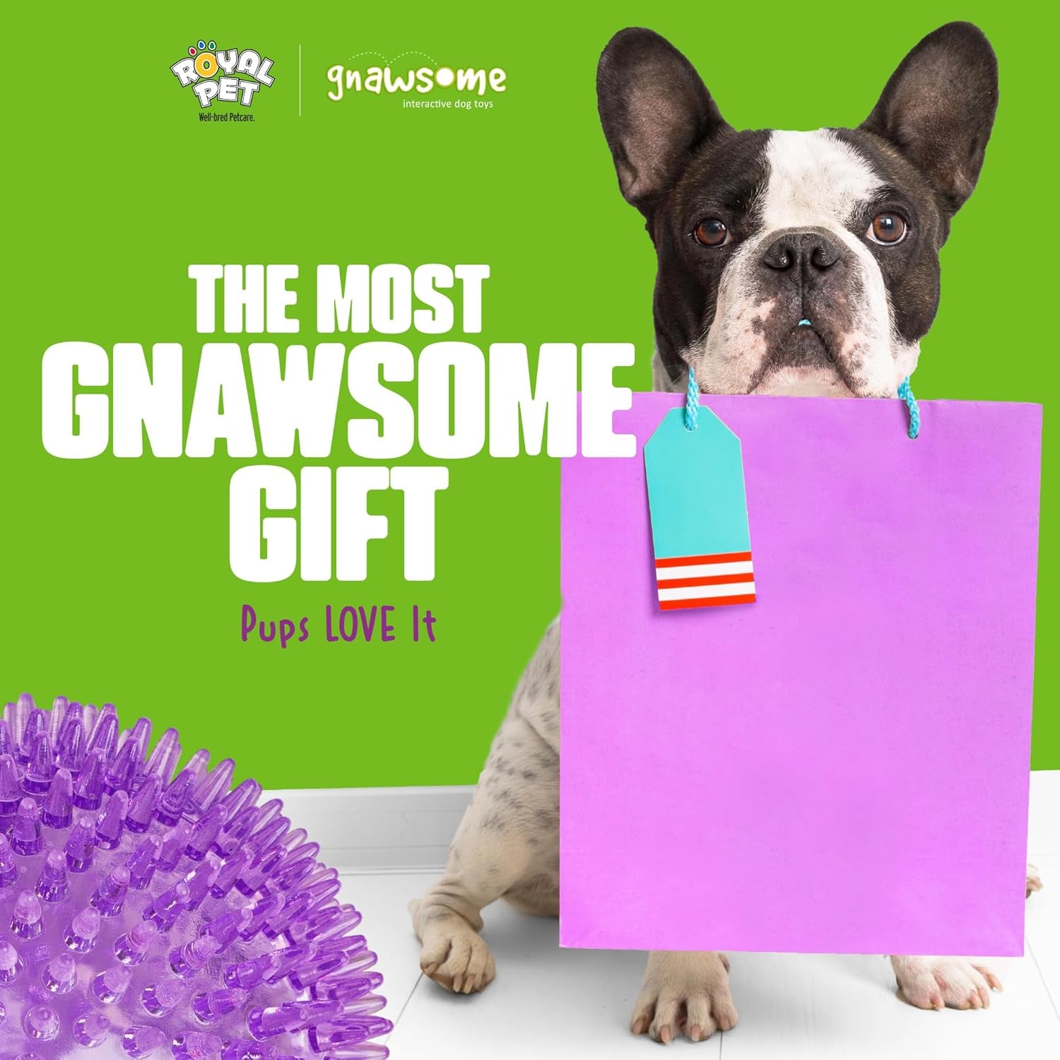gnawsome™-4-5-spiky-squeaker-ball-dog-toy-extra-large-cleans-teeth-and-promotes-good-dental-and-gum-health-for-your-pet-colors-will-vary-4-5
