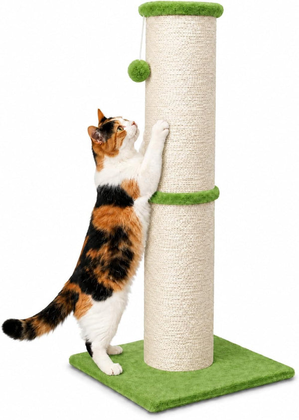 PAWSCRAT 32-Inch Tall Cat Scratching Post, 5.5-Inch Diameter, Sisal, Beige | Natural Sisal Scratching Surface with a Dangling Ball for Indoor Cats, Scratch-Resistant Durable and Protect Your Furniture14