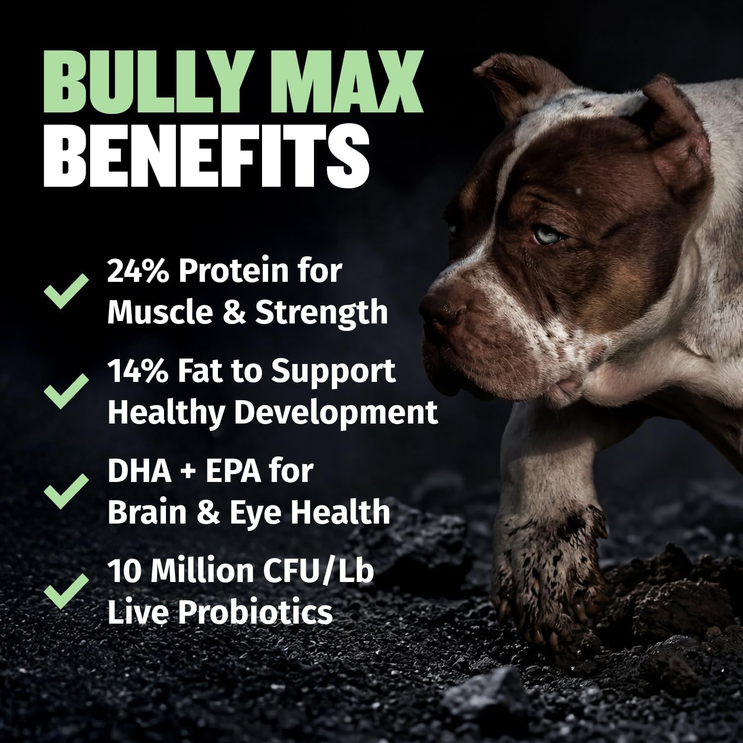 bully-max-puppy-food-24-14-high-protein-growth-formula-dry-dog-food-with-lamb-and-rice-for-small-and-large-breed-puppies-chicken-free-419-cal-cup-sensitive-stomach-kibble-5-lb-bag