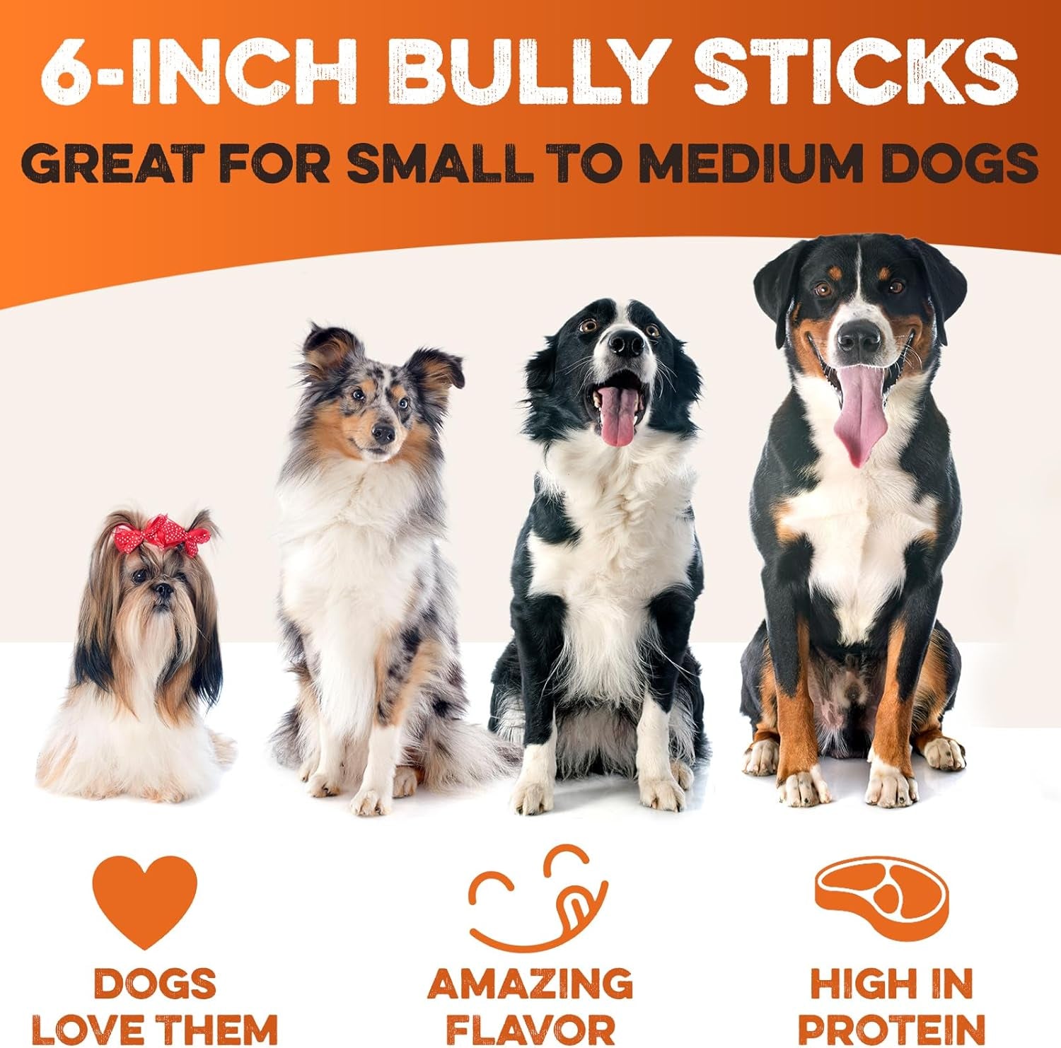 brutus-barnaby-bully-sticks-for-small-medium-large-dogs-6-inch-12-ct-long-lasting-thick-grass-fed-beef-pizzle-chew-treats-odor-free-and-rawhide-free-great-for-aggressive-chewers