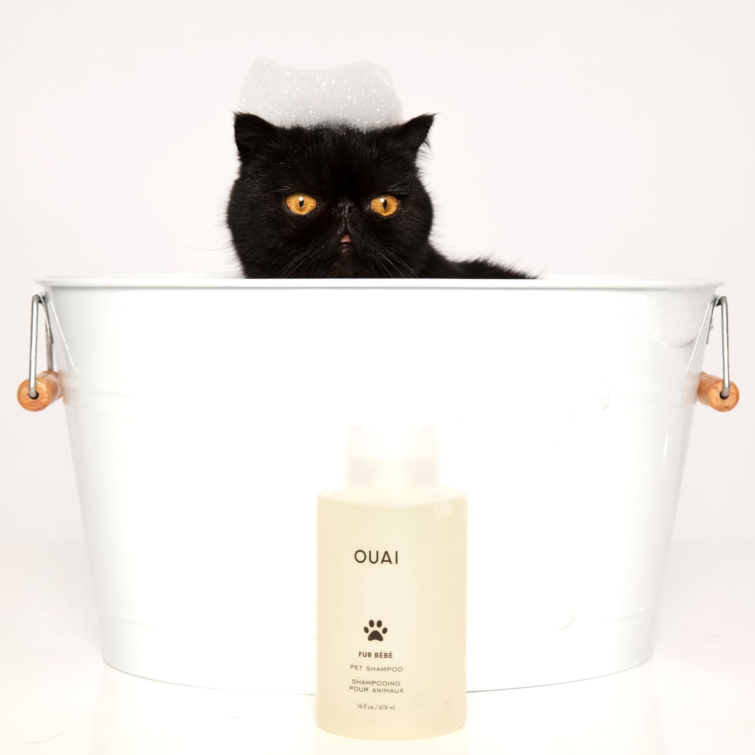 ouai-fur-bebe-pet-shampoo-cat-dog-shampoo-for-gentle-cleansing-hydration-shine-vegan-cruelty-free-pet-supplies-with-aloe-vera-panthenol-mercer-street-scent-16-fl-oz