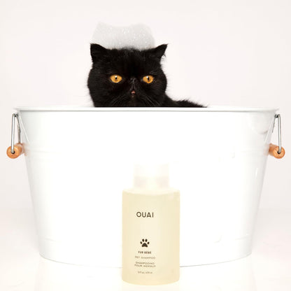 OUAI Fur Bébé Pet Shampoo - Cat & Dog Shampoo for Gentle Cleansing, Hydration & Shine - Vegan & Cruelty-Free Pet Supplies with Aloe Vera & Panthenol - Mercer Street Scent (16 Fl Oz)7