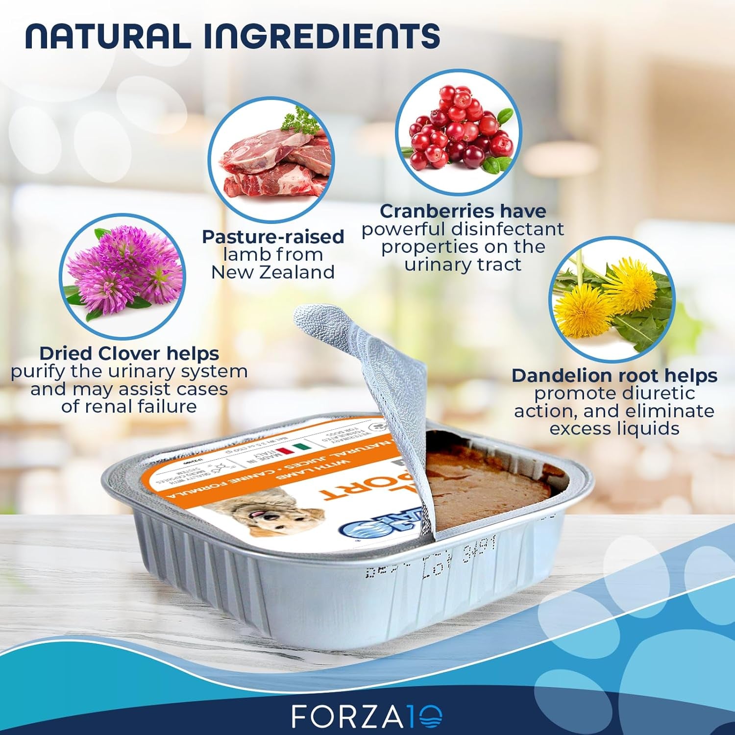 forza10-renal-wet-dog-food-for-adult-dogs-3-5-oz-12-pack-lamb-flavor-actiwet-renal-support-vet-formulated-with-cranberries-dried-dandelion-and-dried-clover-non-gmo-made-in-italy