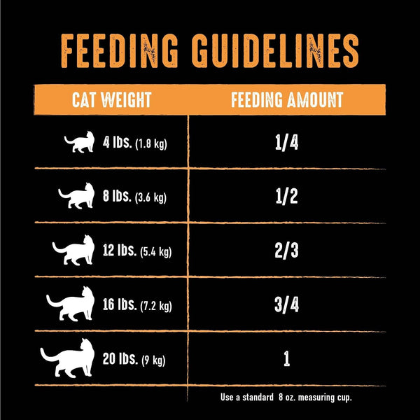 CRAVE Grain Free High Protein Natural Adult Dry Cat Food, Chicken, 10 Lb | 40% Protein, Real Chicken #1 Ingredient, All Natural Ingredients, No By-Product Meal, No Corn, Wheat, Soy, Supports Muscles6