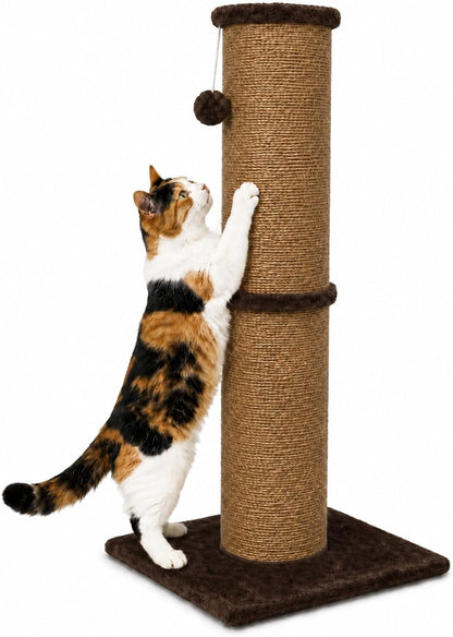 PAWSCRAT 32-Inch Tall Cat Scratching Post, 5.5-Inch Diameter, Sisal, Beige | Natural Sisal Scratching Surface with a Dangling Ball for Indoor Cats, Scratch-Resistant Durable and Protect Your Furniture15