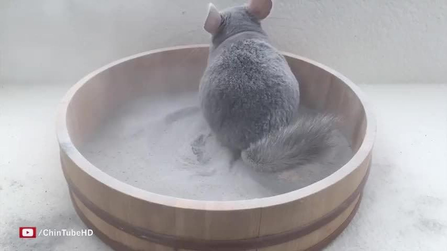 lixit-blue-beauty®-chinchilla-dust-powder-dry-bath-grooming-dust-for-hamsters-gerbil-degus-and-small-animals-made-in-the-usa-3-pound