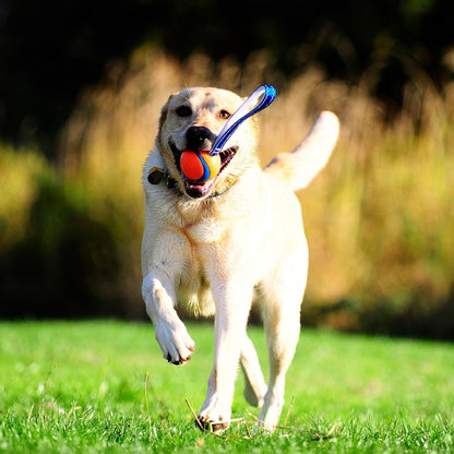 Chuckit! Ultra Tug Dog Toy, Medium Fetch and Dog Ball Tug Toy for Dogs 20-60 Pounds2