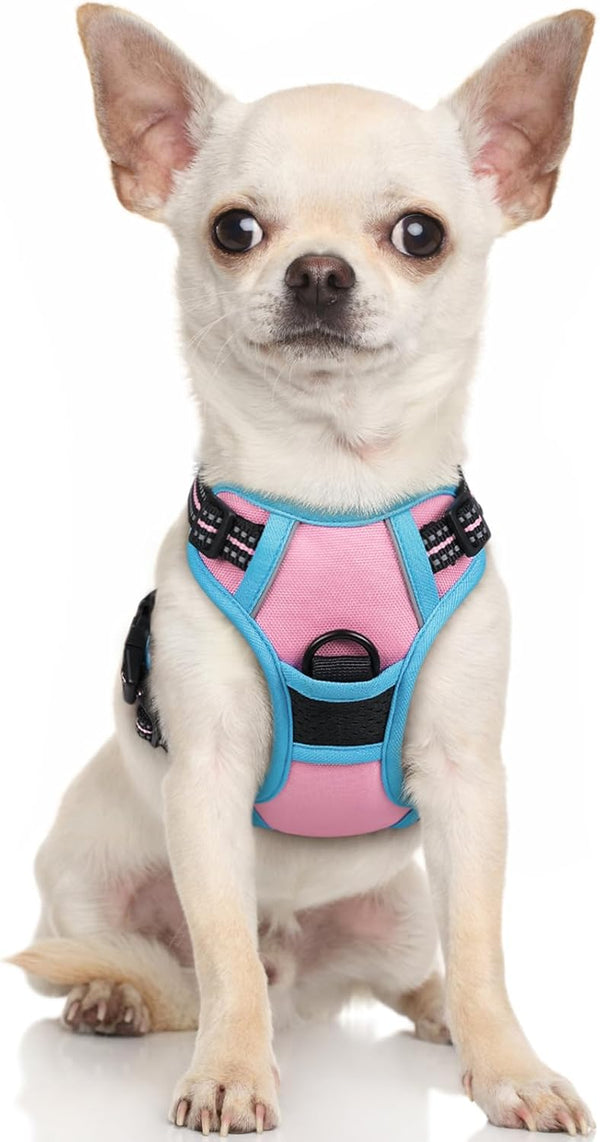 Rabbitgoo Dog Harness, No Pull for Large Dogs with 2 Leash Clips, Pet Vest | No Choke with Handle, Adjustable Soft Padded, Reflective, Easy Control for Walking, Black, Large96
