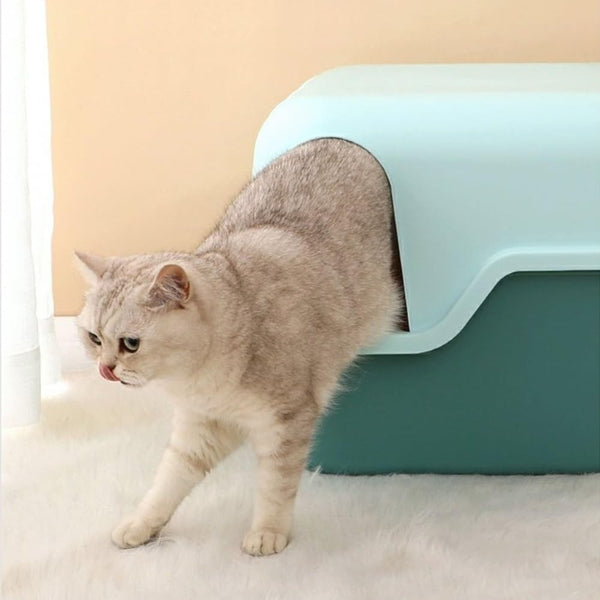 Pet Supplies, Enclosed Cat Litter Box with Lid & Scoop, Anti-Splash Hooded Tray, Easy Clean7