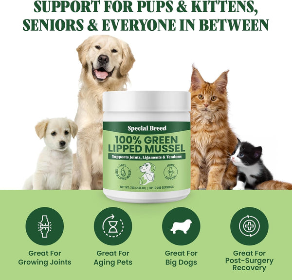 Green Lipped Mussel Powder for Dogs & Cats - 100% New Zealand Green Lipped Mussels - Natural Hip & Joint Supplement for Joints, Tendons, Ligaments, Muscles - 75 Grams - up to 250 Servings4