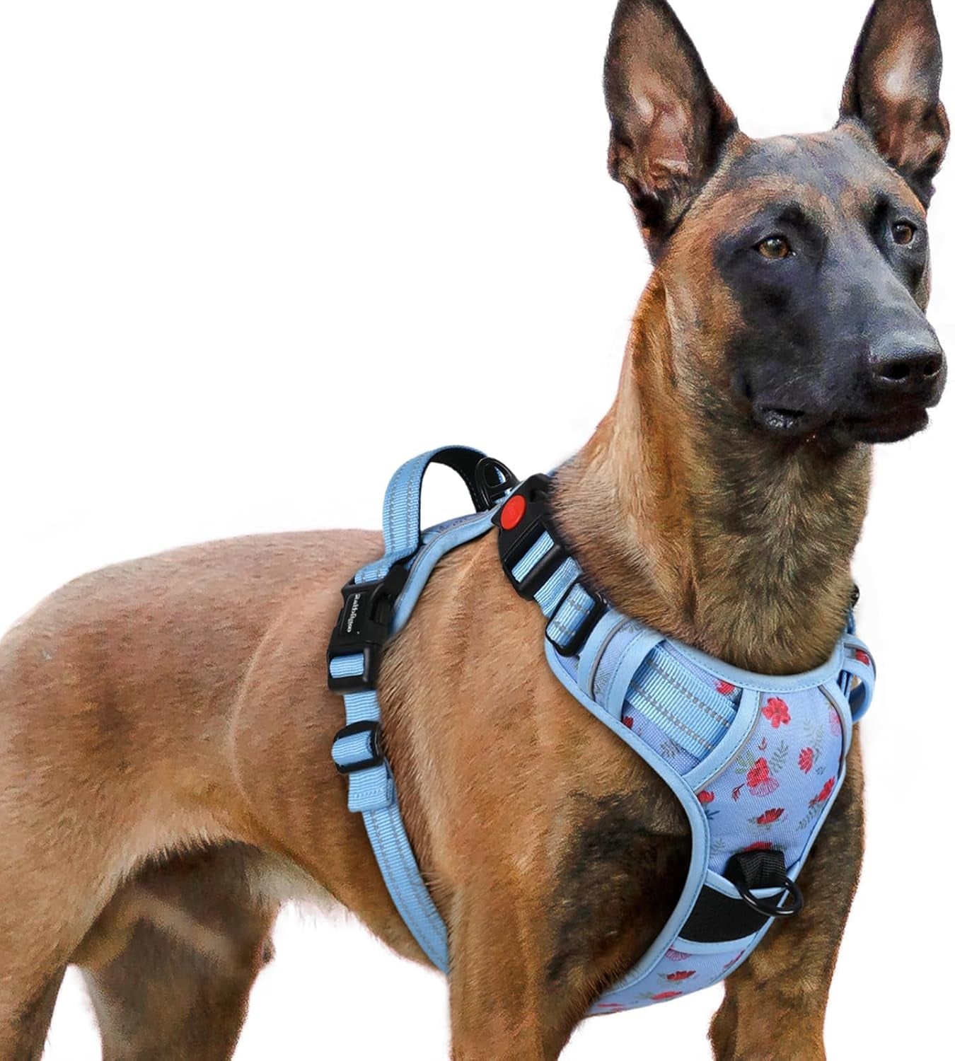 rabbitgoo-dog-harness-medium-sized-updated-easy-on-off-with-3-buckles-no-pull-no-choke-walking-with-2-clips-and-handle-adjustable-soft-reflective-blue-medium