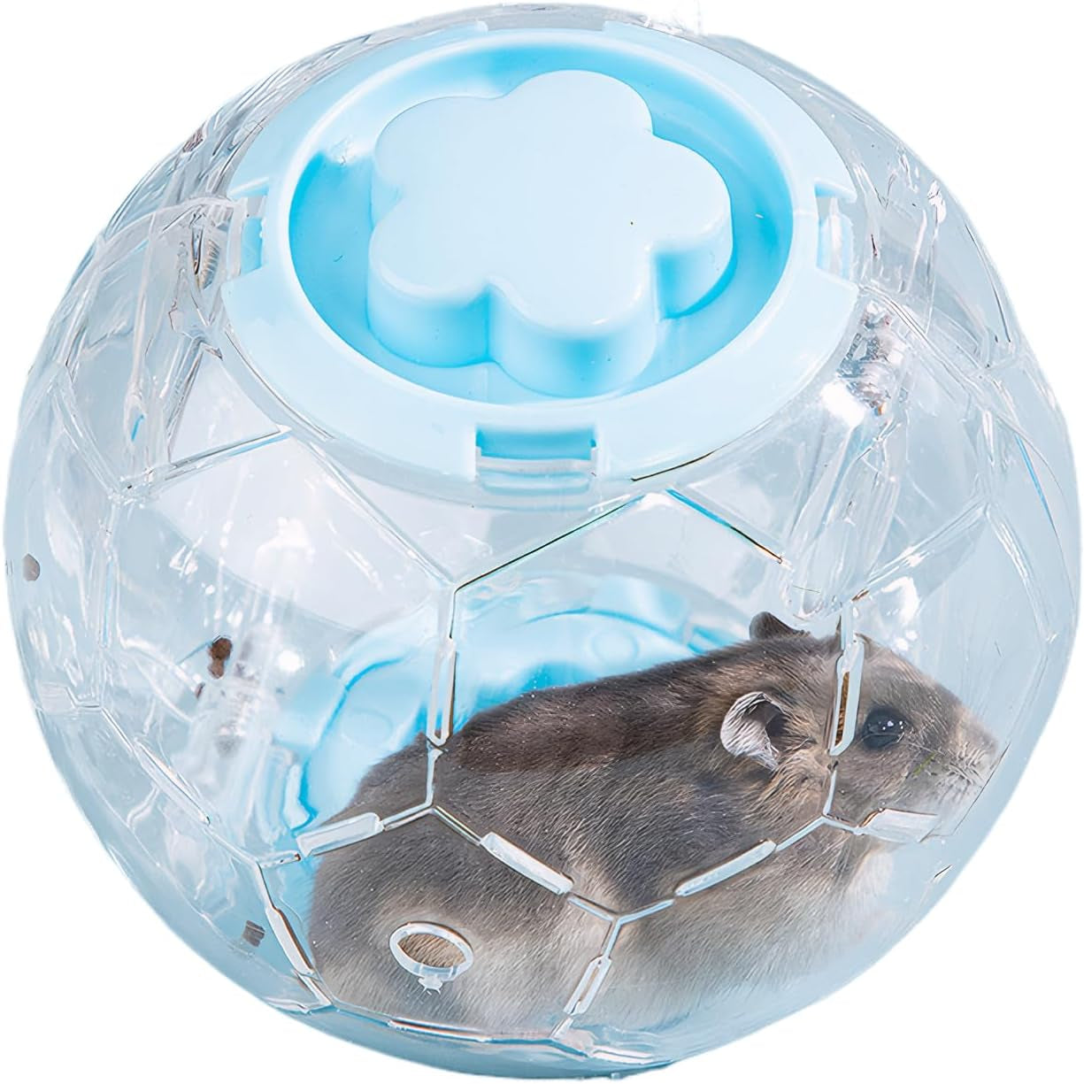 football-design-dwarf-hamster-ball-5-1-inch-5-1in-ideal-small-hamster-ball-for-mice-breathable-football-design-ensures-safe-fun-exercise-and-prevents-boredom