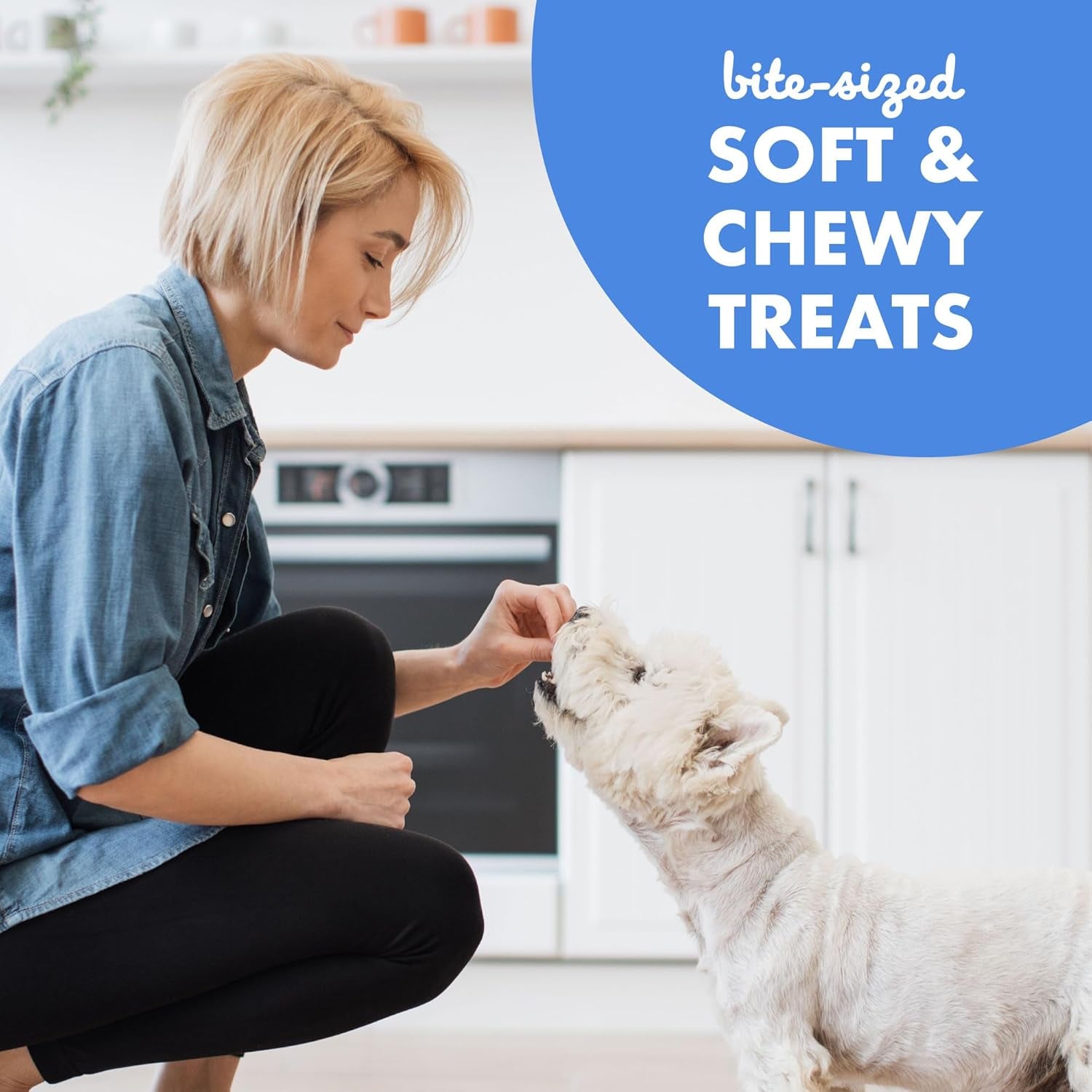 buddy-biscuits-trainers-training-bites-soft-chewy-dog-treats-bacon-10-oz-pouch
