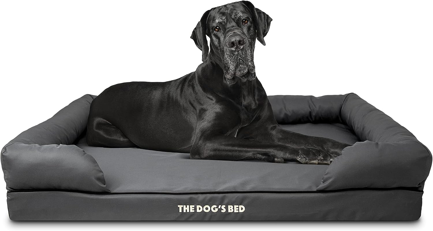 the-dog-s-bed-orthopedic-memory-foam-dog-bed-with-bolsters-for-large-dogs-high-density-support-mattress-low-front-entry-removable-washable-cover-oxford-fabric-blue-with-dark-red-trim-large