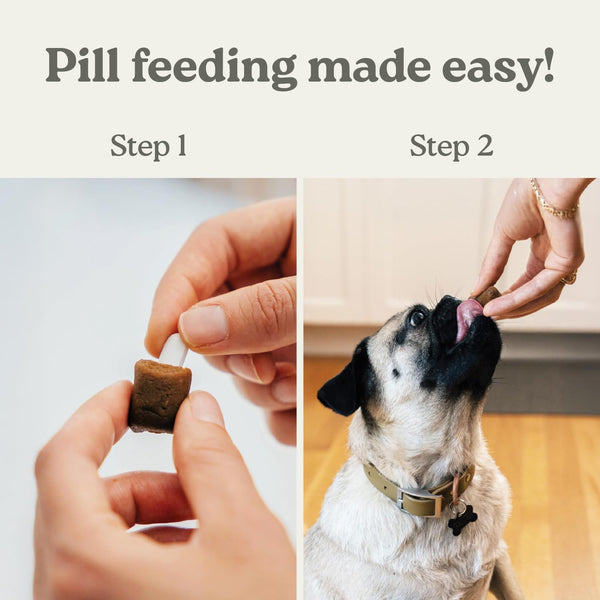 Presidio Earthly Pill Buddy Naturals - PB & Apple Recipe Pill Hiding Treats for Dogs - Make a Perfect Pill Concealing Pocket or Pouch for Any Size Medication - 30 Servings9